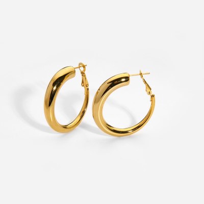 Geometric Hollow Hoop Earrings (With Box)